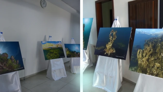 Van Gölünün gizemli dünyası sergilendi