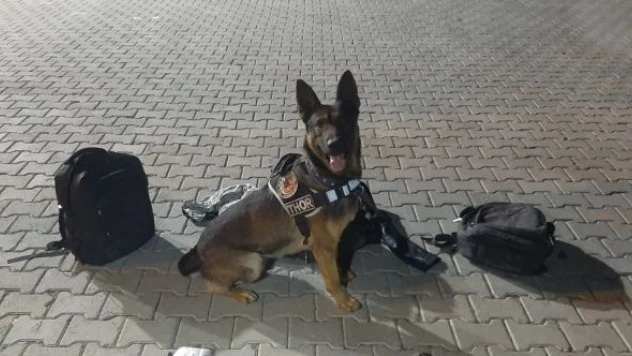 Van'da bir haftada 33 şüpheli gözaltına alındı