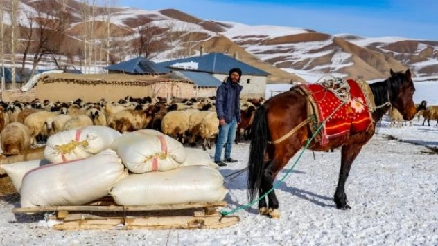 İş sahibi olan eski hükümlüler gelecekten umutlu