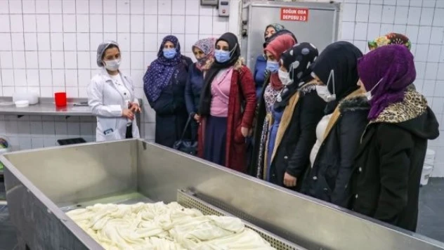 Vanlı kadınlar 'çiftçi okulu' sayesinde üretici oldu