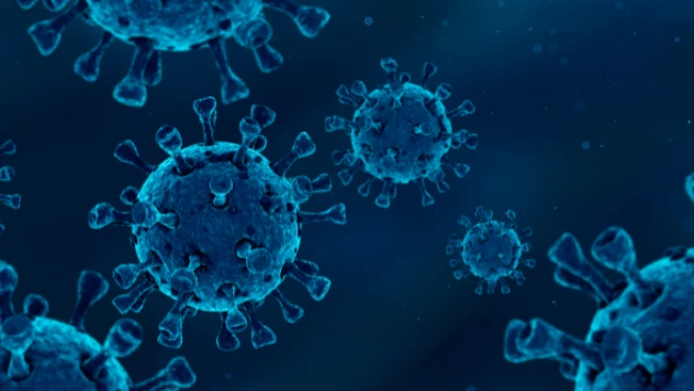 ABD'li bilim insanı: "Omicron hiper bulaşıcı hale geldi"