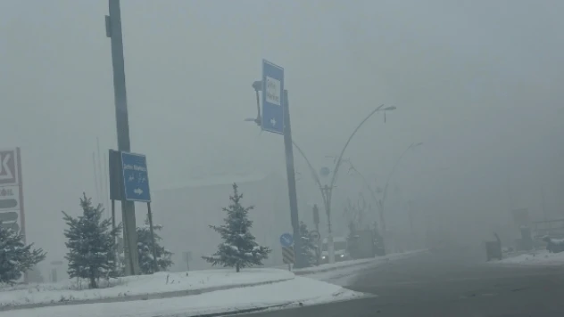 Ağrı'da sis hayatı olumsuz etkiledi