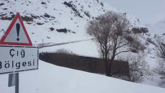 Bingöl'de çığ nedeniyle kapanan yollar ulaşıma açıldı