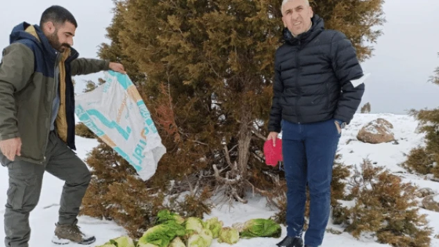 Bingöl'de yaban hayvanları unutulmadı