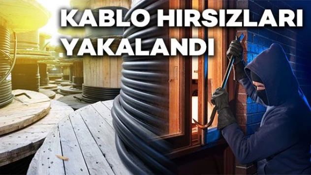 Çaldıkları kabloları yakarken yakalandılar