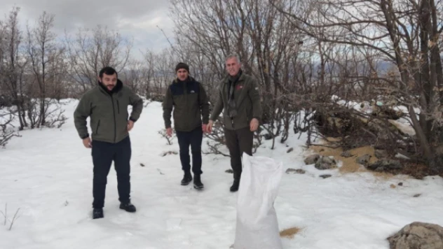 DKMP Bingöl yaban hayvanlarını unutmadı