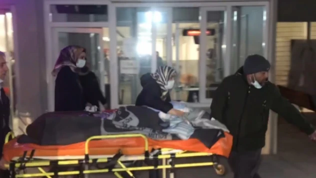 Erzincan'da 6 köpeğin saldırdığı çocuk Erzurum'a sevk edildi