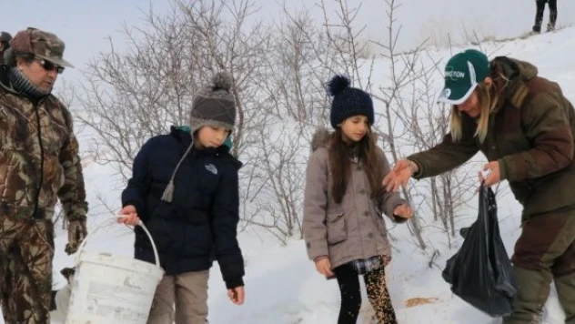 Dışarıda kalan hayvanları unutmadılar