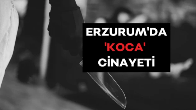 Kocasını kalbinden bıçakladı