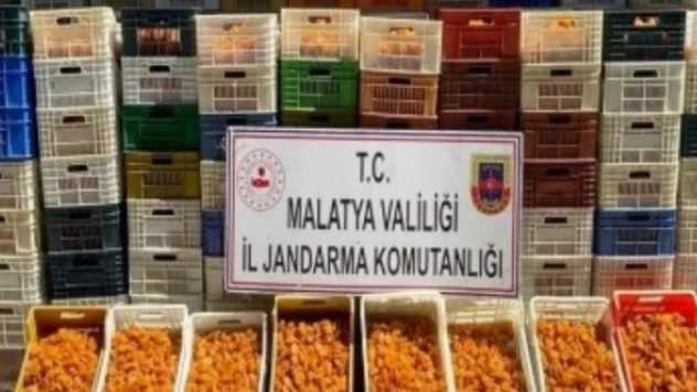 Malatya'da bir yılda 315 şahıs adli makamlara sevk edildi