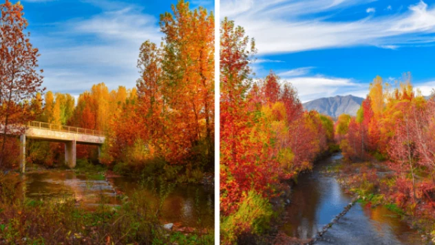 Mirvan Çayı, göz kamaştırıyor