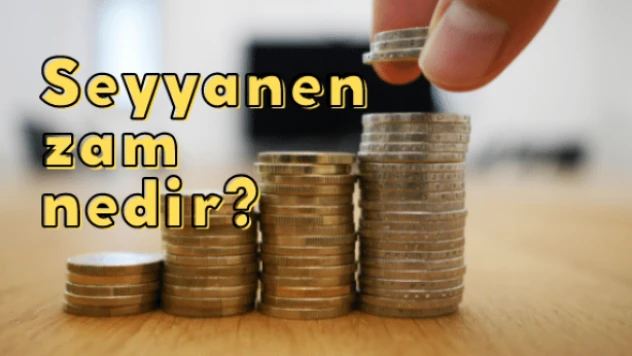 Seyyanen zam nedir?