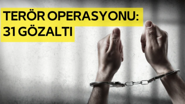 Terör operasyonu: 31 gözaltından 11'i tutuklandı