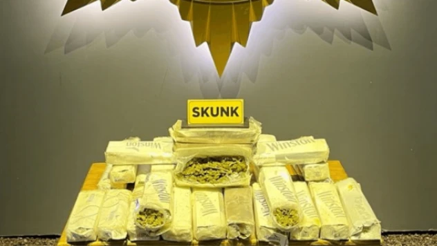 Uyuşturucu taşıyan sürücü yakalandı