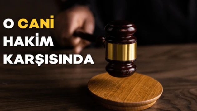 Anne ve oğlunu canice katlettiği iddia edilen zanlı yargılanıyor