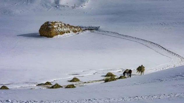 Besiciler soğuğa meydan okuyor