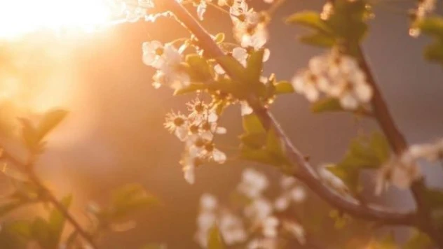 Cemre havaya düştü