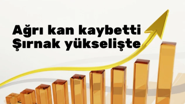 Doğu Anadolu'da 8 ilde nüfus arttı