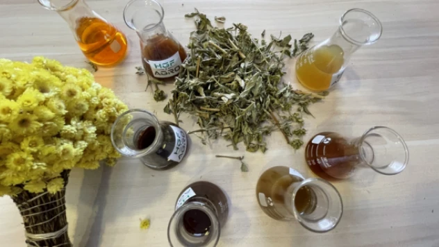 Erzurum bitkileri ilaç ve kozmetik sanayisine kazandırılacak