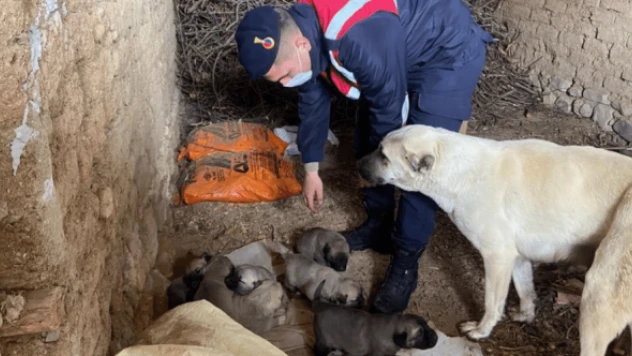 Jandarmadan yürekleri ısıtan adım