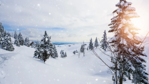 Kars'ta hayat durma noktasına geldi!