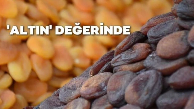 Kuru kayısıdan milyon dolarlık gelir elde edildi