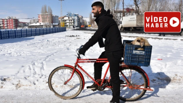 Kuzusuna kıyamadı, 3 kilometre boyunca sepette taşıdı