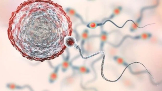 Sperm alerjisi nedir, nasıl tedavi edilir?