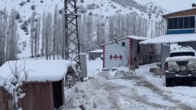 Talihsiz Alman evinde ölü bulundu