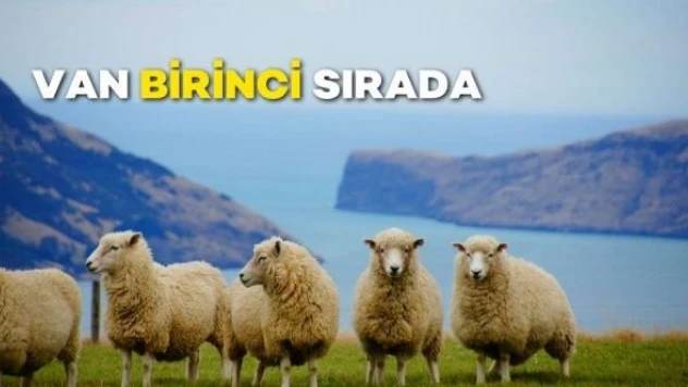 Van birinci sırada!