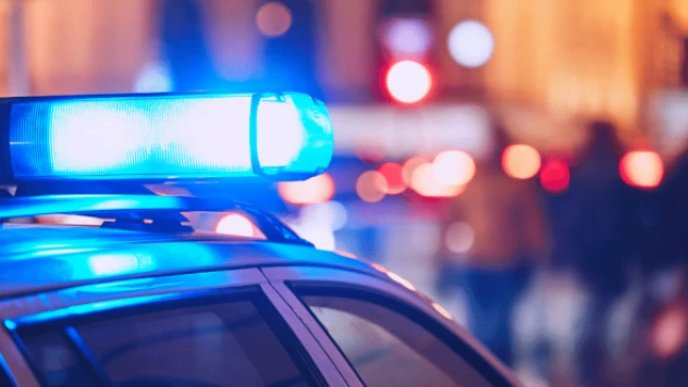 Van'da 18 düzensiz göçmen yakalandı