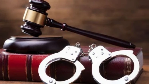 Van'da cani annenin cezası kesildi