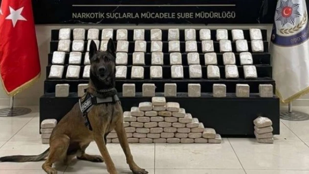 Van'da haftalık uyuşturucu bilançosu ağır