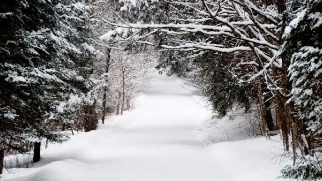 3 ilde 33 yerleşim birimine ulaşılamıyor!