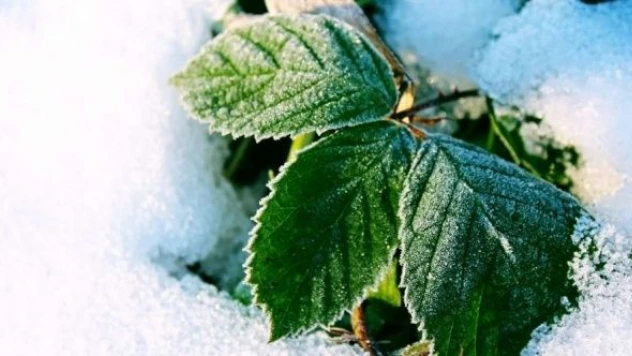Ağrı'da köy okullarına kar tatili