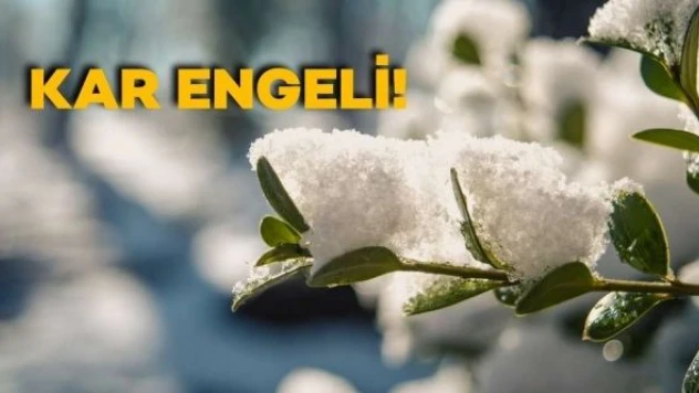 Bitlis'te eğitime kar engeli