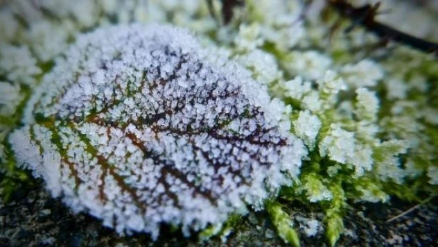 Doğu Anadolu'da kuvvetli kar bekleniyor!