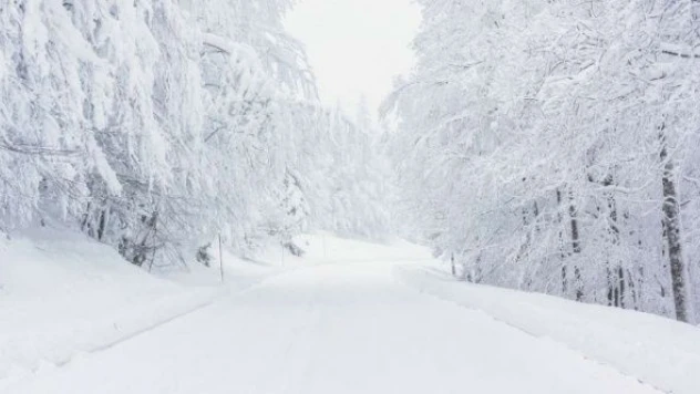 Doğu'da bin 115  yerleşim yerine ulaşım sağlanamıyor
