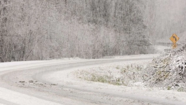 Doğu'da yaklaşık bin yerleşim yerinin yolu kapandı