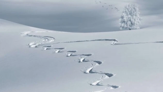 Hastaneye yetişmek için zamanla yarıştılar