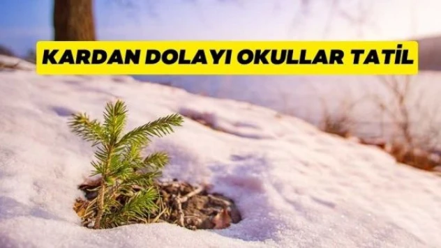 Karlıova'da okullar tatil edildi
