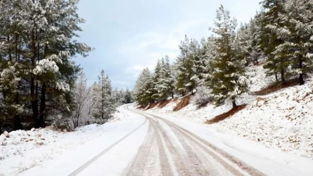 Kars-Göle yolu güvenlik için kapatıldı
