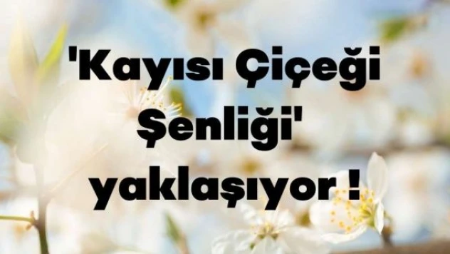 Malatya 'Kayısı Çiçeği Şenliği' yaklaşıyor