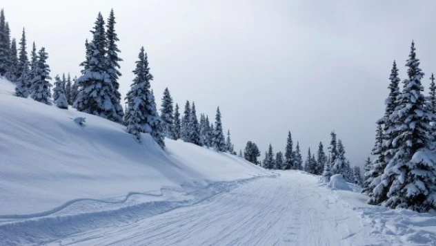 Muş ve Bitlis'te yollar kapandı