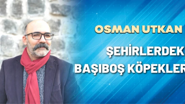 Öğretim Görevlisi Osman Utkan yazdı...