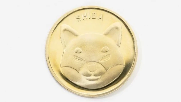 Shiba coin nedir, ne zaman çıktı?