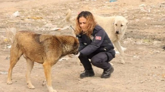 Sokak hayvanlarını unutmadılar!