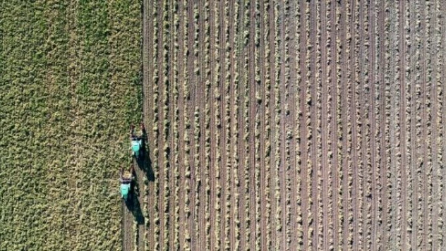 Tarımsal destekleme ödemeleri başlıyor