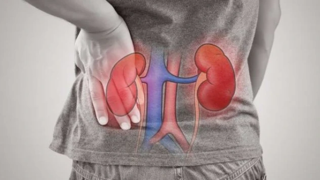 Türkiye'de her 7 kişiden biri böbrek hastası