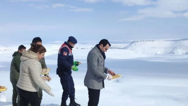 Yaban hayvanlarını unutmadılar